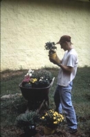 Subal_plantingflowers.jpg
